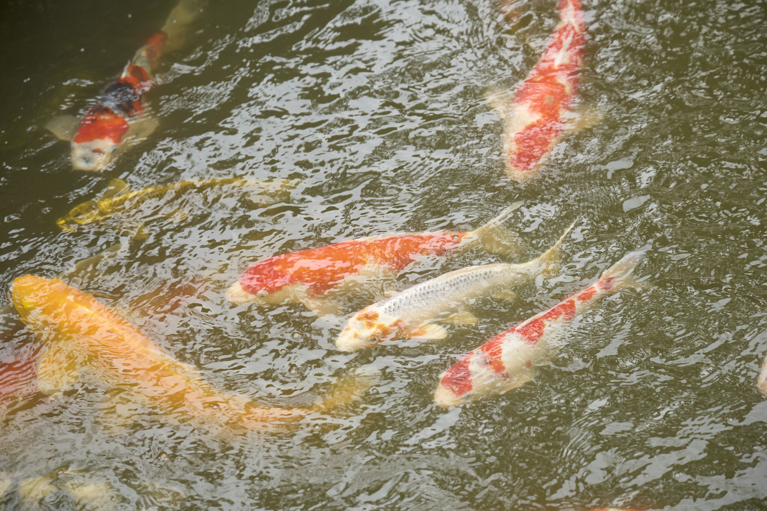 『社長のひとり言』ホームページについて